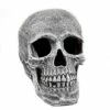 Large Realistic Skull Prop