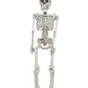 20 In Plastic Skeleton -MystiMask Store 01145838 a