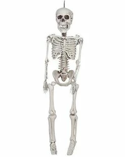 20 In Plastic Skeleton