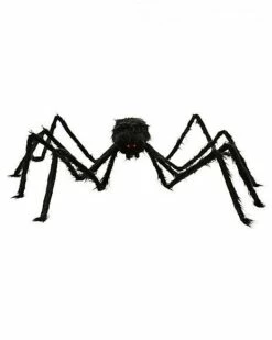5 Ft Black Spider