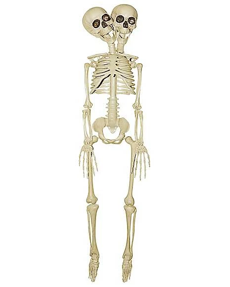 20 Inch Two-Headed Skeleton 3 20 Inch Two-Headed Skeleton