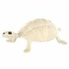 Skeleton Turtle - Decorations -MystiMask Store 01387117 a