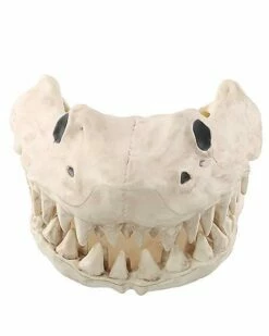 Shark Skull - Decorations
