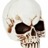 Jawless Skull -MystiMask Store 01475961 a
