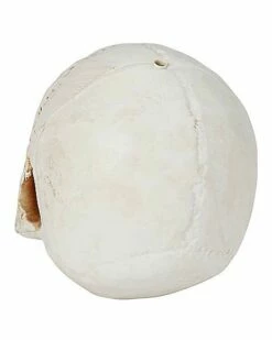 Jawless Skull -MystiMask Store 01475961 c