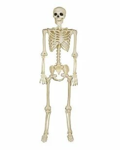 5 Ft Blacklight Skeleton