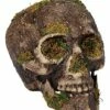 Moss Skull -MystiMask Store 01477157 a