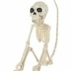 Monkey Skeleton 1 Monkey Skeleton -MystiMask Store 01477173 a