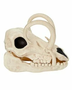 Boar Skull 11 Boar Skull -MystiMask Store 01528785 b