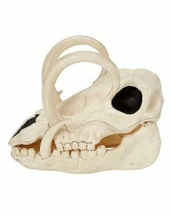 Boar Skull 13 Boar Skull -MystiMask Store 01528785 d