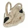 Boar Skull 2 Boar Skull -MystiMask Store 01528785 a