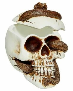 Snake Skull Box -MystiMask Store 01530286 c