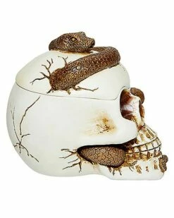 Snake Skull Box -MystiMask Store 01530286 d