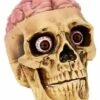 Skull With Brain Decoration -MystiMask Store 01573070 a