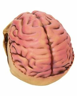 Skull With Brain Decoration 8 Skull With Brain Decoration -MystiMask Store 01573070 c