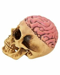 Skull With Brain Decoration 9 Skull With Brain Decoration -MystiMask Store 01573070 d