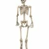 5 Ft Pose 'N' Stay Skeleton -MystiMask Store 07125149 a