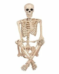 5 Ft Pose 'N' Stay Skeleton -MystiMask Store 07125149 c