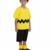 Kids Charlie Brown Deluxe Costume - Peanuts